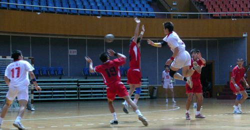 手球地板，手球館運動木地板