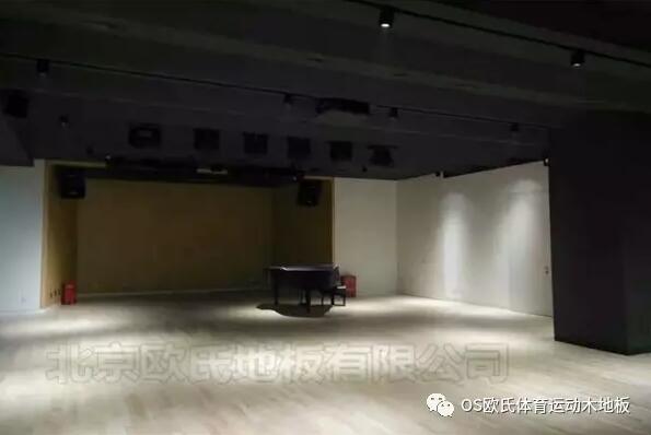 韓國大使館文化院多功能廳實木運動地板成功案例圖4